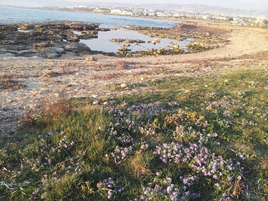 A Stone'S Throw From Everything Paphos Esterno foto